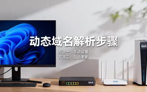 花生壳动态域名如何解析？，具体有哪些方法？