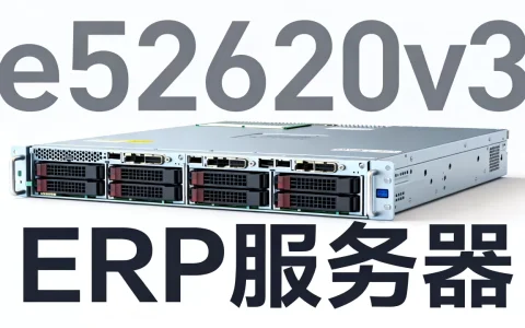 e52620v3做erp服务器靠谱吗，性能够用吗？