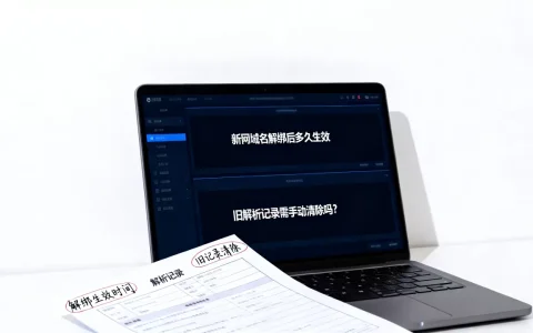 新网域名解绑后多久生效，旧解析记录需手动清除吗？