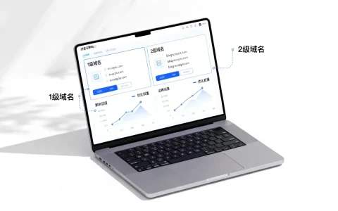 2级域名和1级域名有何区别，哪个更适合网站优化？