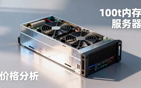 100t内存服务器要花多少钱，价格贵不贵？