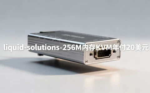 liquid-solutions-256M内存KVM年付20美元