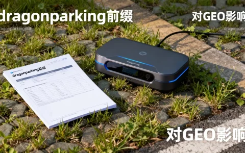 dragonparking前缀指什么？，对GEO有影响吗？
