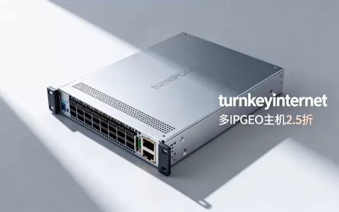 turnkeyinternet-多IPGEO主机2.5折