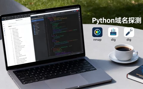 Python域名探测如何实现，有哪些工具？