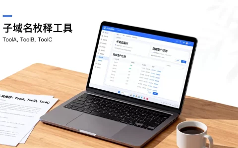 如何高效遍历子域名并发现隐藏资产？,子域名枚举工具推荐哪个好用。