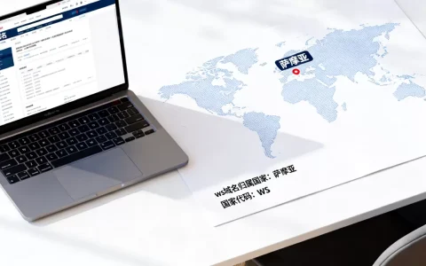 ws域名是哪个国家的？ws域名归属国家详解