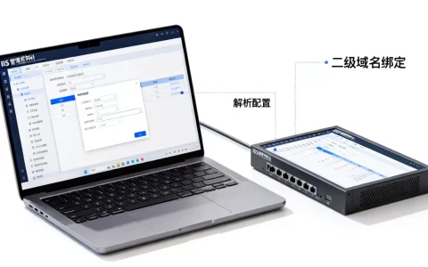 IIS二级域名如何绑定解析？,配置步骤详解