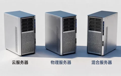 虚拟环境服务器有哪些类型，哪个性价比最高？