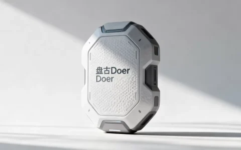 盘古Doer究竟是什么？为何叫Doer有何用？