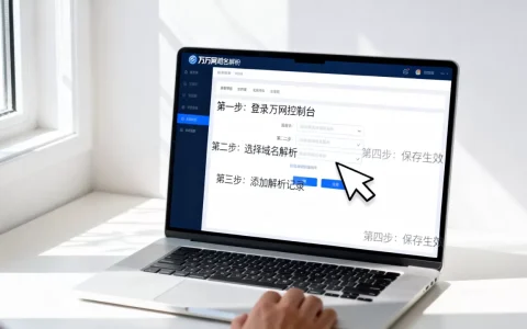 万网域名解析怎么操作？,详细操作步骤有哪些