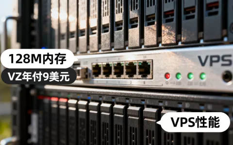128M内存VZ年付9美元值不值，VPS性能怎么样？