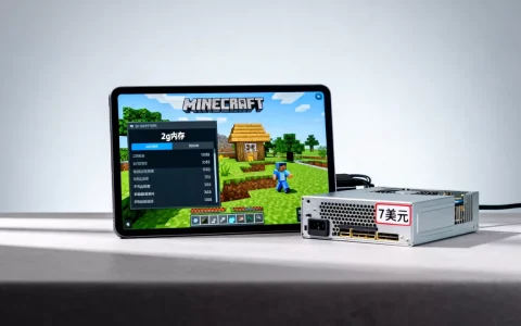 这个Minecrafted服务器7美元2g内存怎么样，性价比高吗？