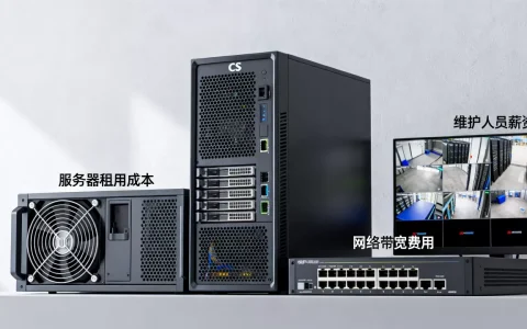 运营一个CS服务器要多少成本，服务器租用价格贵吗？