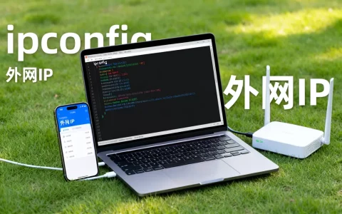 用自己电脑当服务器，外网IP是多少？，服务器外网IP怎么查