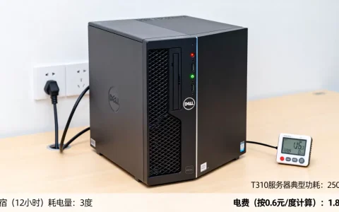 戴尔t310服务器一宿耗电多少度，电费多少钱？