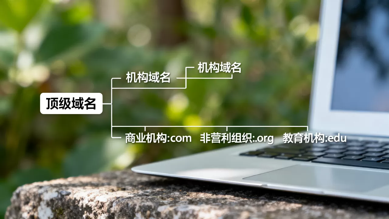 顶级域名具体是如何划分为机构域名的? 顶级域名具体是如何划分为机构域名的?