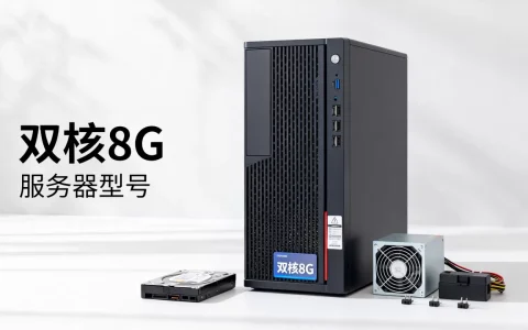 双核8g服务器多少钱一台，租用价格贵不贵？