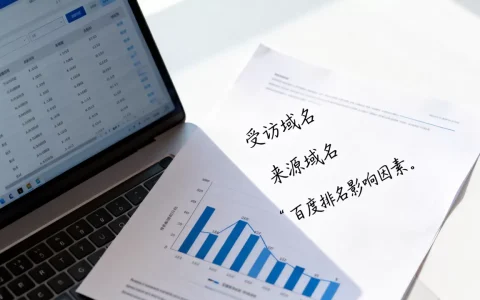 受访域名和来源域名有何区别，哪个影响百度排名？