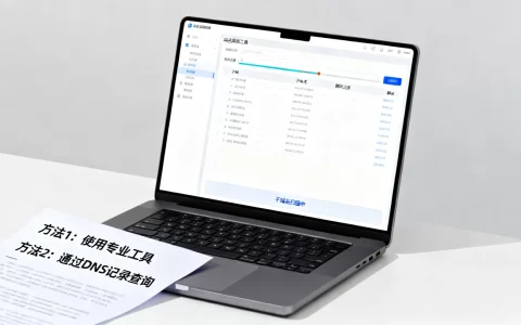 如何通过域名解析精准查找所有子域名，有哪些方法？