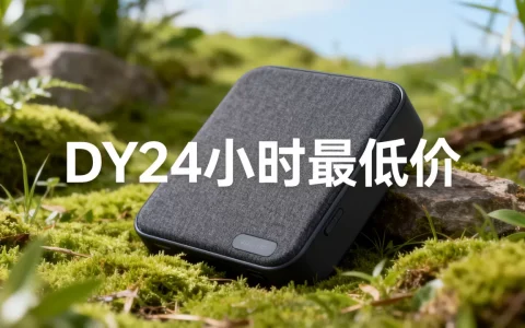 DY24小时最低价