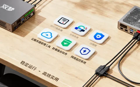 双梦服务器有哪些软件？,哪个最稳定实用