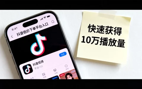 抖音低价下单平台入口在哪，如何快速获得10万播放量？