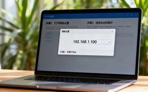 虚拟机如何正确显示并获取IP地址，具体配置步骤是什么？