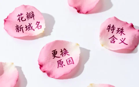 花瓣新域名是什么，为什么要更换有何特殊含义？