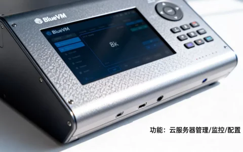 BlueVM全新控制面板好用吗，有什么功能？