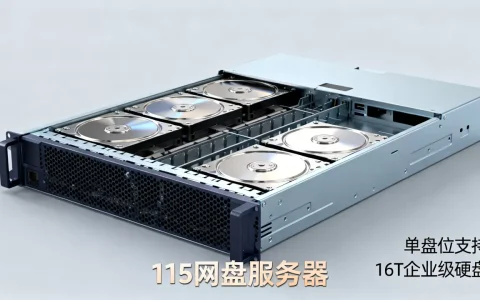 115网盘服务器要多少t的硬盘