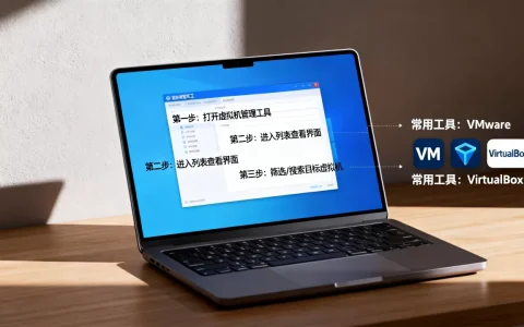 虚拟机列表怎么查询？有哪些详细步骤和工具