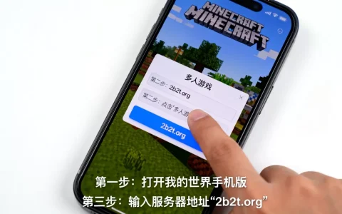 手机版2b2t服务器怎么进入？，具体步骤是什么？