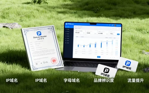 IP域名与字母域名怎么选，有哪些提升品牌辨识度和流量的技巧？