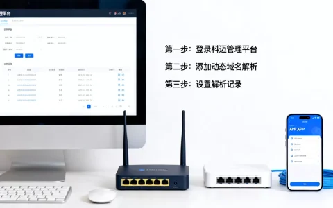 科迈动态域名怎么用？新手能快速上手吗，科迈动态域名设置教程？