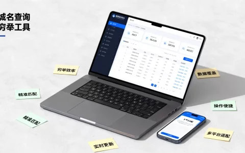 域名查询穷举工具怎么选，哪个软件最好用？