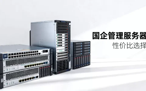国企管理服务器有哪些，如何选择性价比高的？