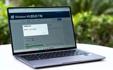 Windows ME虚拟机下载哪里找？系统兼容性怎么解决？
