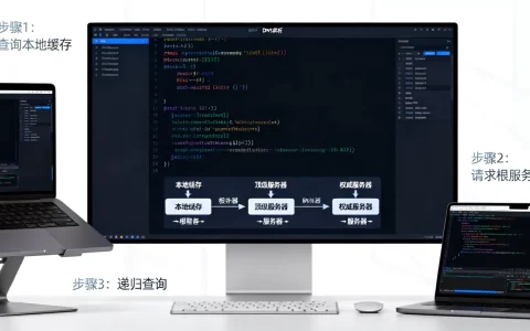 怎样用代码实现DNS域名解析，具体步骤是什么？