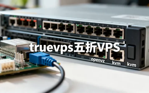 truevps五折VPS能买吗，openvz和kvm怎么选