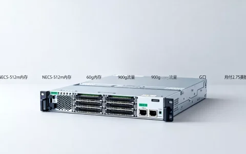 NECS-512m内存/60g内存/900g流量/G口/月付2.75英镑