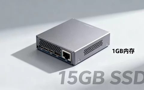 ssdvirt 1g内存15gSSD配置如何,值得买吗？