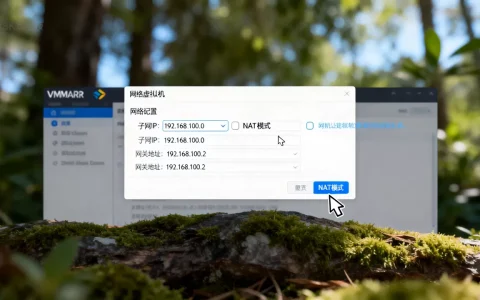 虚拟机NAT模式怎么配置网络？，VMware联网如何设置？