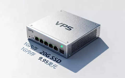 1G内存20G SSD的VPS只要9.95美元？性能怎么样