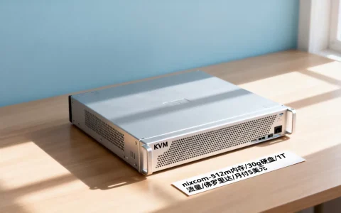 nixcom-512m内存KVM/30g硬盘/1T流量/佛罗里达/月付5美元