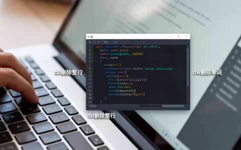 虚拟机vi编辑器删除命令怎么用才不出错？,vi编辑器删除操作有哪些？