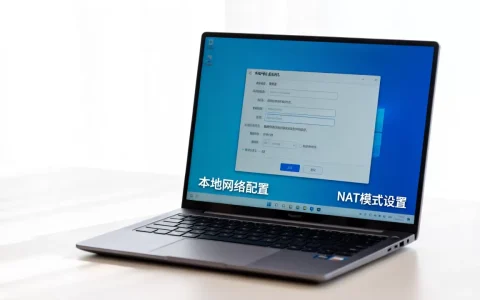 虚拟机怎么联网？本地网络配置与NAT模式怎么设置？