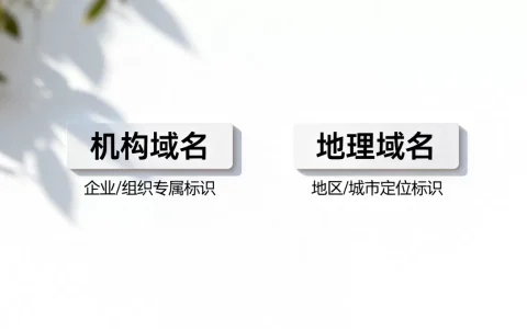 机构域名和地理域名有啥区别，适用场景有哪些？