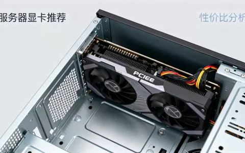 服务器适合装什么显卡，哪款性价比最高？