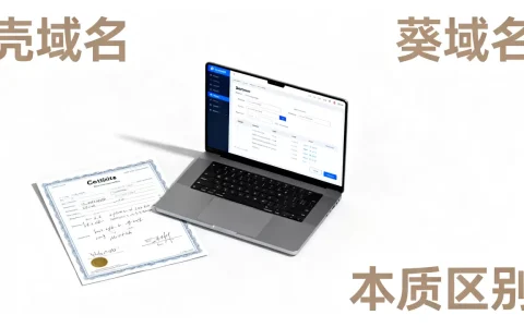 壳域名和葵域名到底有什么本质区别？